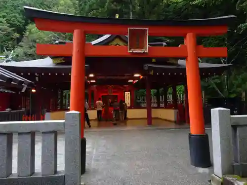 箱根神社の鳥居