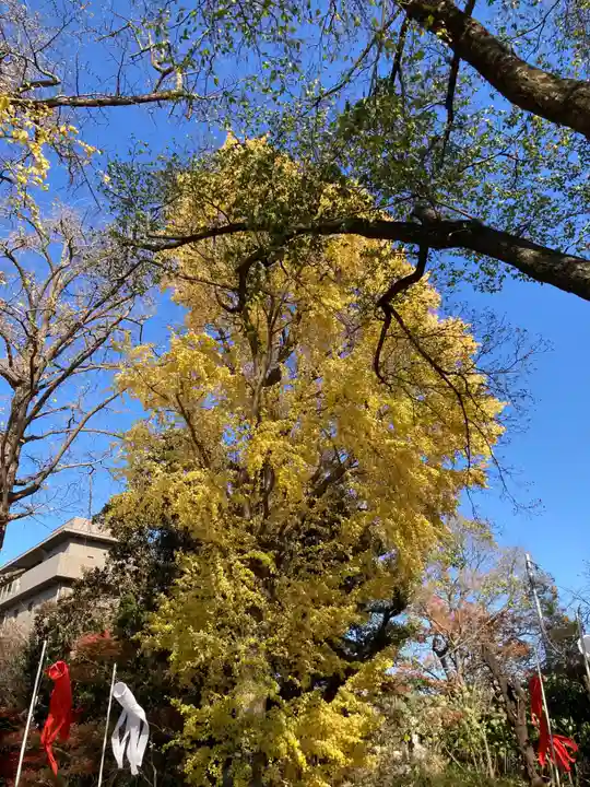 明王院(満願寺別院)の自然