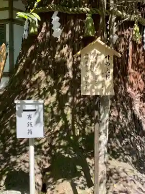 丹生川上神社(中社)の{uncategorized: "未分類", other: "その他", undefined: "問題あり", building: "その他建物", grave: "お墓", sacred_gate: "鳥居", guardian: "狛犬", statue: "像", buddha: "仏像", history: "歴史", nature: "自然", garden: "庭園", animal: "動物", pagoda: "塔", temizu: "手水舎", mountain_gate: "山門・神門", sanctuary: "本殿・本堂", subordinate: "末社・摂社", art: "芸術", scenery: "景色", jizo: "地蔵", ema: "絵馬", goshuin: "御朱印", omikuji: "おみくじ", items: "授与品その他", amulet: "お守り", goshuincho: "御朱印帳", eats: "食事", festival: "お祭り", votive_dance: "神楽", shichigosan: "七五三参", wedding: "結婚式", experience: "体験その他", initially: "初詣", around: "周辺", anti_infection: "感染症対策"}