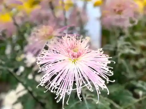 生島足島神社(長野県)
