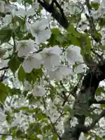 大豊神社御旅所(京都府)