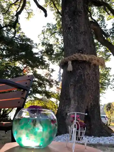 福母八幡宮の自然