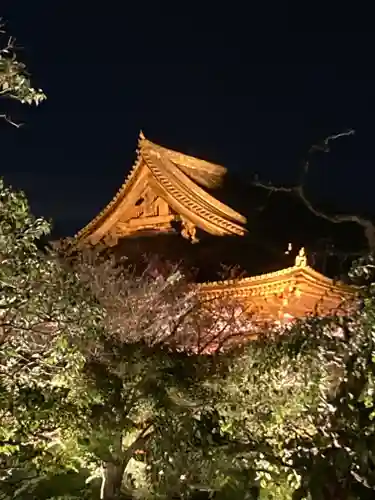 東寺（教王護国寺）(京都府)