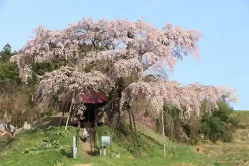 上石不動堂の自然