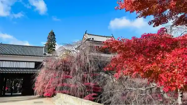 眞田神社(長野県)