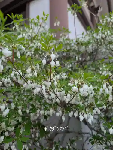 本覺寺(神奈川県)