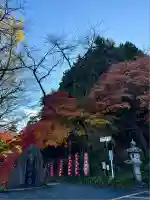 水澤寺(水澤観世音)(群馬県)