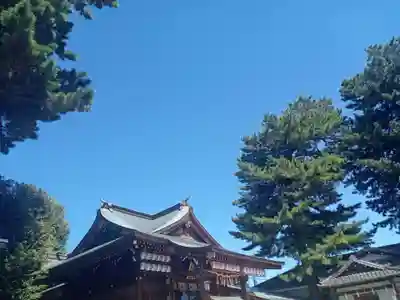 中野沼袋氷川神社(東京都)