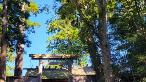 伊勢神宮内宮（皇大神宮）(三重県)