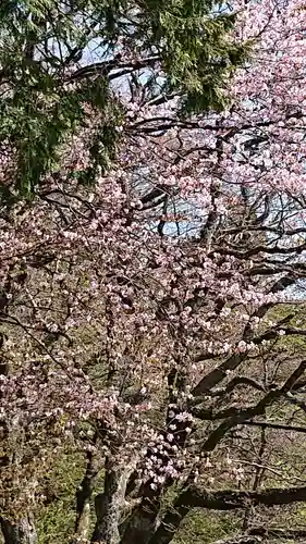熊野皇大神社の自然