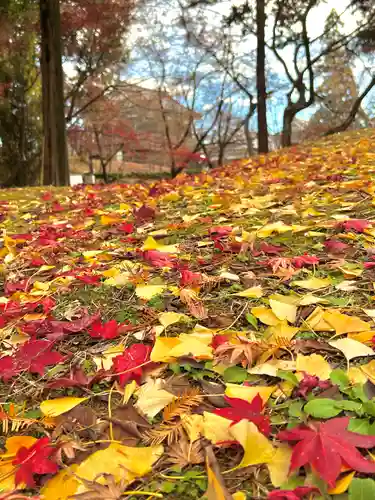 眞田神社の自然