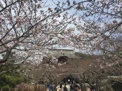 建長寺(神奈川県)
