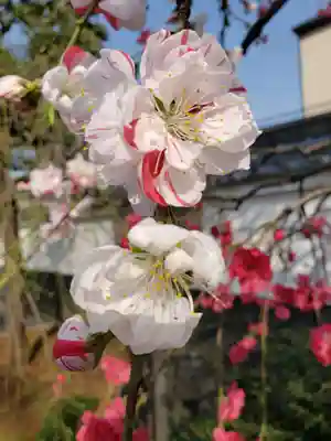 圓照寺(東京都)