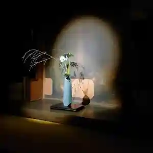 吸湖山 青岸寺の芸術(2022年11月05日(土) 15時34分25秒投稿)