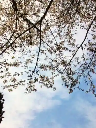 くまくま神社(導きの社 熊野町熊野神社)(東京都)