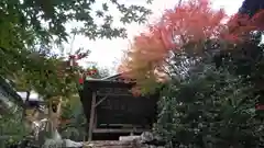 龍田神社の建物その他