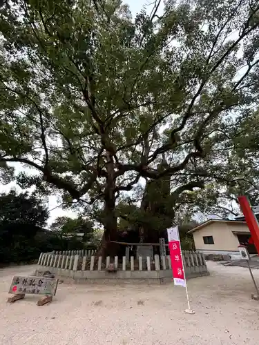 宇美八幡宮(福岡県)
