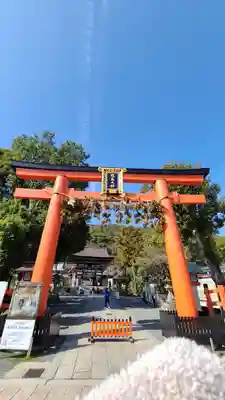松尾大社の鳥居