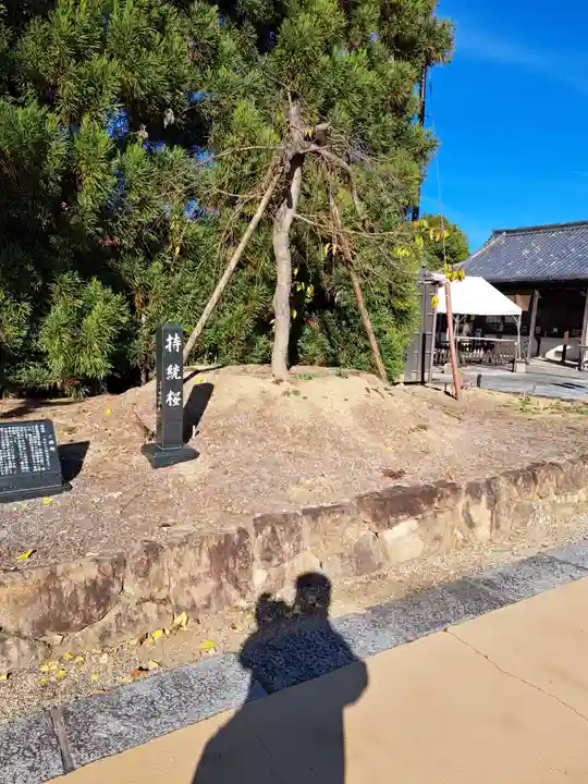 薬師寺(奈良県)