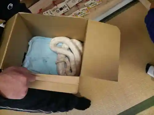 信濃比叡廣拯院の動物