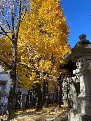 待乳山聖天（本龍院）(東京都)