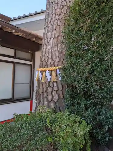 中野沼袋氷川神社(東京都)