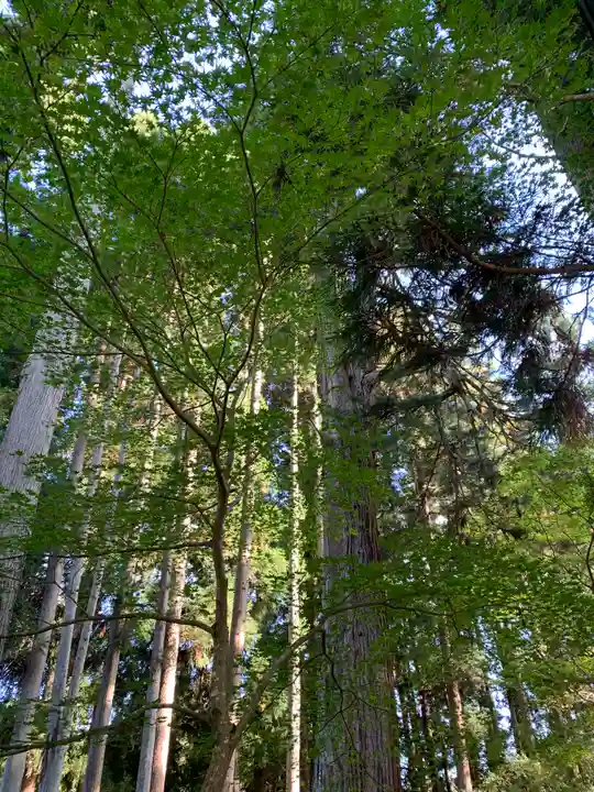 如法寺(鳥追観音)の庭園