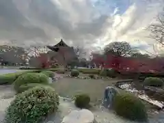 東寺（教王護国寺）(京都府)