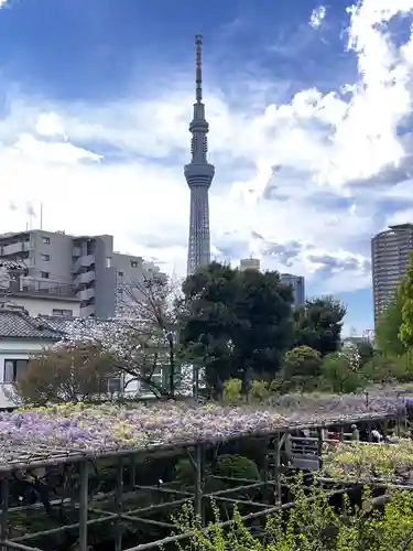 亀戸天神社の庭園