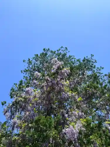 鹿島神宮(茨城県)