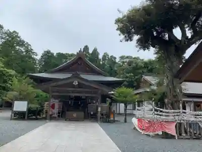 井伊谷宮の本殿・本堂