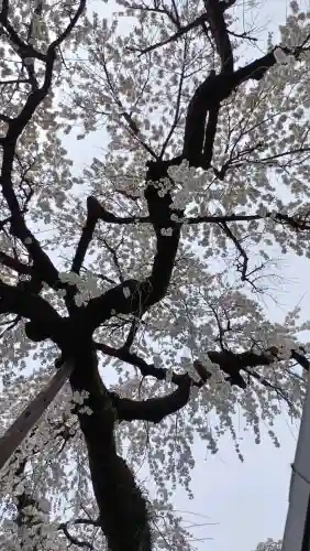 円明寺の{uncategorized: "未分類", other: "その他", undefined: "問題あり", building: "その他建物", grave: "お墓", sacred_gate: "鳥居", guardian: "狛犬", statue: "像", buddha: "仏像", history: "歴史", nature: "自然", garden: "庭園", animal: "動物", pagoda: "塔", temizu: "手水舎", mountain_gate: "山門・神門", sanctuary: "本殿・本堂", subordinate: "末社・摂社", art: "芸術", scenery: "景色", jizo: "地蔵", ema: "絵馬", goshuin: "御朱印", omikuji: "おみくじ", items: "授与品その他", amulet: "お守り", goshuincho: "御朱印帳", eats: "食事", festival: "お祭り", votive_dance: "神楽", shichigosan: "七五三参", wedding: "結婚式", experience: "体験その他", initially: "初詣", around: "周辺", anti_infection: "感染症対策"}