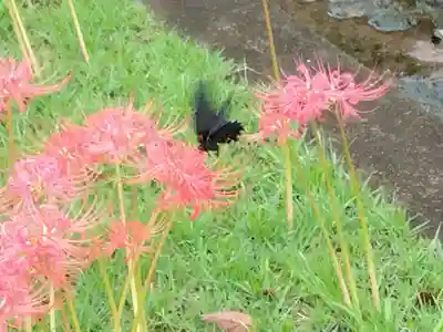 横浜　西方寺(神奈川県)
