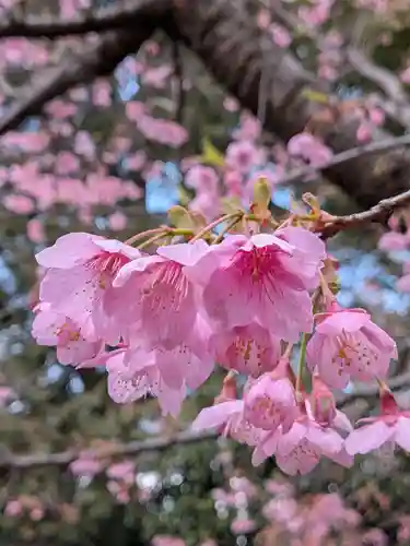 代々木八幡宮(東京都)