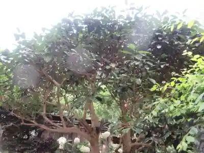 円覚寺(神奈川県)