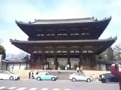 仁和寺の山門