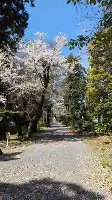 雙栗神社(京都府)
