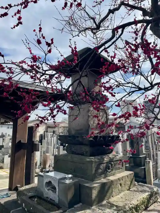 城官寺の{uncategorized: "未分類", other: "その他", undefined: "問題あり", building: "その他建物", grave: "お墓", sacred_gate: "鳥居", guardian: "狛犬", statue: "像", buddha: "仏像", history: "歴史", nature: "自然", garden: "庭園", animal: "動物", pagoda: "塔", temizu: "手水舎", mountain_gate: "山門・神門", sanctuary: "本殿・本堂", subordinate: "末社・摂社", art: "芸術", scenery: "景色", jizo: "地蔵", ema: "絵馬", goshuin: "御朱印", omikuji: "おみくじ", items: "授与品その他", amulet: "お守り", goshuincho: "御朱印帳", eats: "食事", festival: "お祭り", votive_dance: "神楽", shichigosan: "七五三参", wedding: "結婚式", experience: "体験その他", initially: "初詣", around: "周辺", anti_infection: "感染症対策"}
