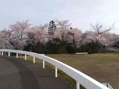 妙法寺(福井県)