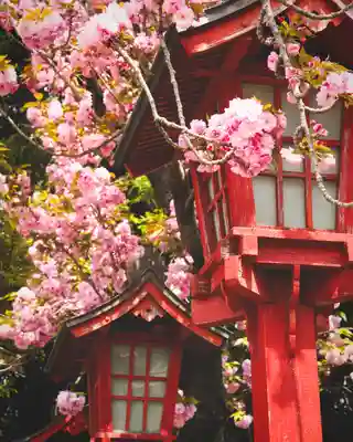 一瓶塚稲荷神社(栃木県)