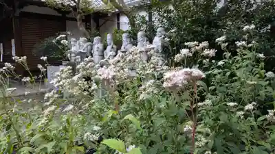 行願寺（革堂）(京都府)