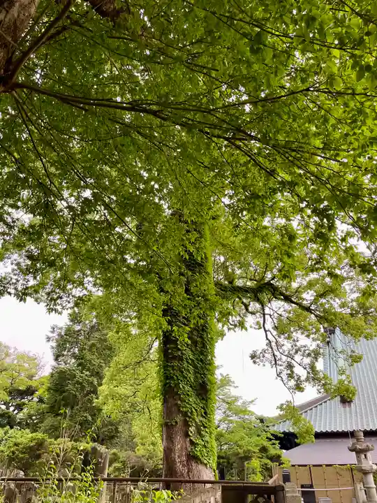 長生院(神奈川県)