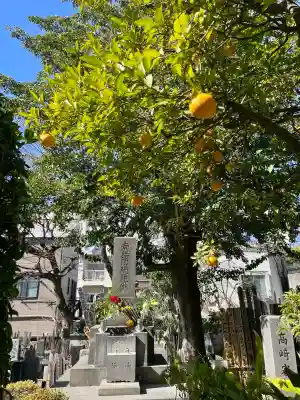 還国寺の{uncategorized: "未分類", other: "その他", undefined: "問題あり", building: "その他建物", grave: "お墓", sacred_gate: "鳥居", guardian: "狛犬", statue: "像", buddha: "仏像", history: "歴史", nature: "自然", garden: "庭園", animal: "動物", pagoda: "塔", temizu: "手水舎", mountain_gate: "山門・神門", sanctuary: "本殿・本堂", subordinate: "末社・摂社", art: "芸術", scenery: "景色", jizo: "地蔵", ema: "絵馬", goshuin: "御朱印", omikuji: "おみくじ", items: "授与品その他", amulet: "お守り", goshuincho: "御朱印帳", eats: "食事", festival: "お祭り", votive_dance: "神楽", shichigosan: "七五三参", wedding: "結婚式", experience: "体験その他", initially: "初詣", around: "周辺", anti_infection: "感染症対策"}