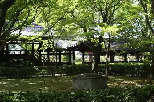 真正極楽寺（真如堂）(京都府)