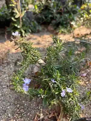 良仙寺(兵庫県)
