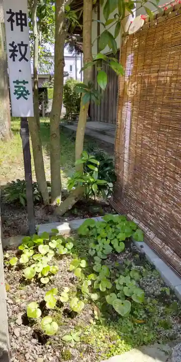 伊豆神社(滋賀県)