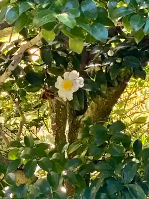 大法院(京都府)