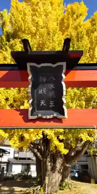 八大龍王辨財天(京都府)