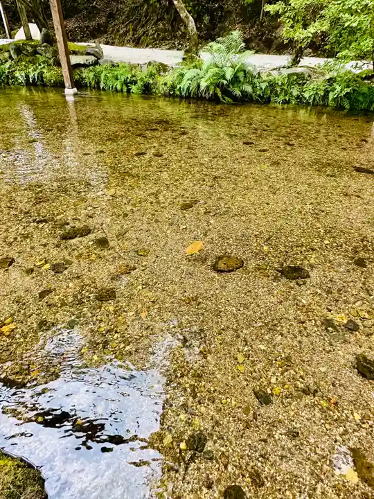 賀茂別雷神社(上賀茂神社)(京都府)