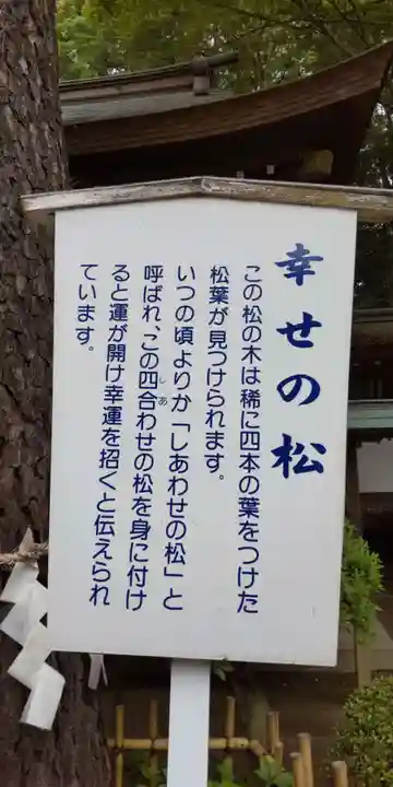 前鳥神社(神奈川県)